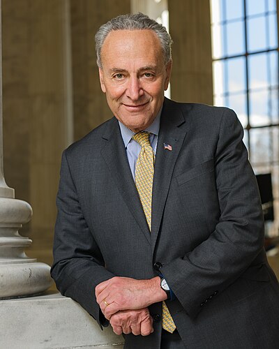 Chuck Schumer portrait